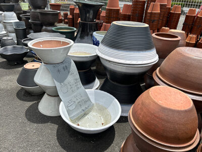 2025年夏の新作陶器入荷しました画像10