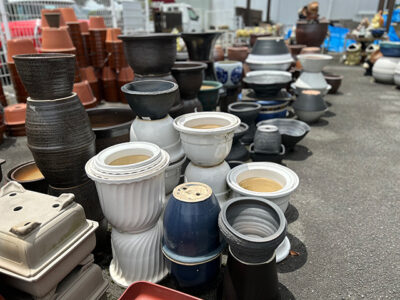 2025年夏の新作陶器入荷しました画像14