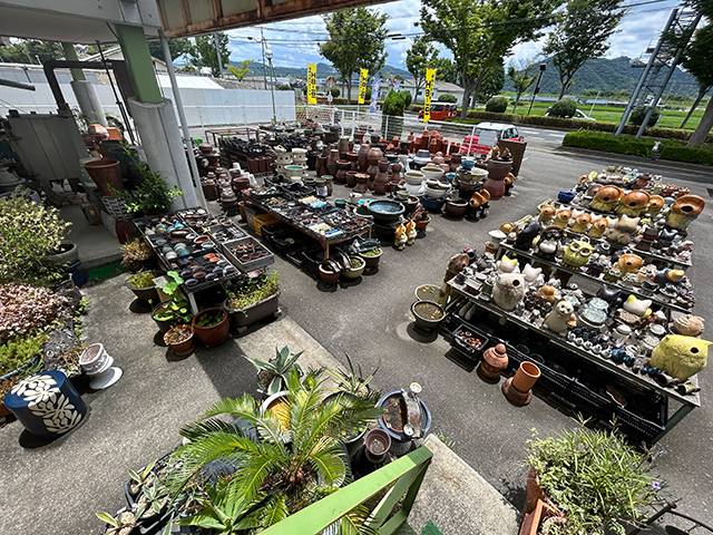 画像：